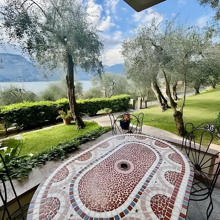 Garden With View